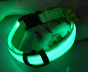 top quality hot selling led dog collar