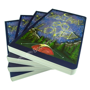 Custom Printing Children Board Book With Full Color Gloss Lamination