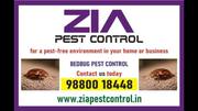 Cockroach pest control for Restaurents | 5023