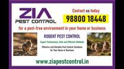 Service, Other, Pesticides, Pest control Solution.