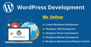 I will build a custom business website in wordpress